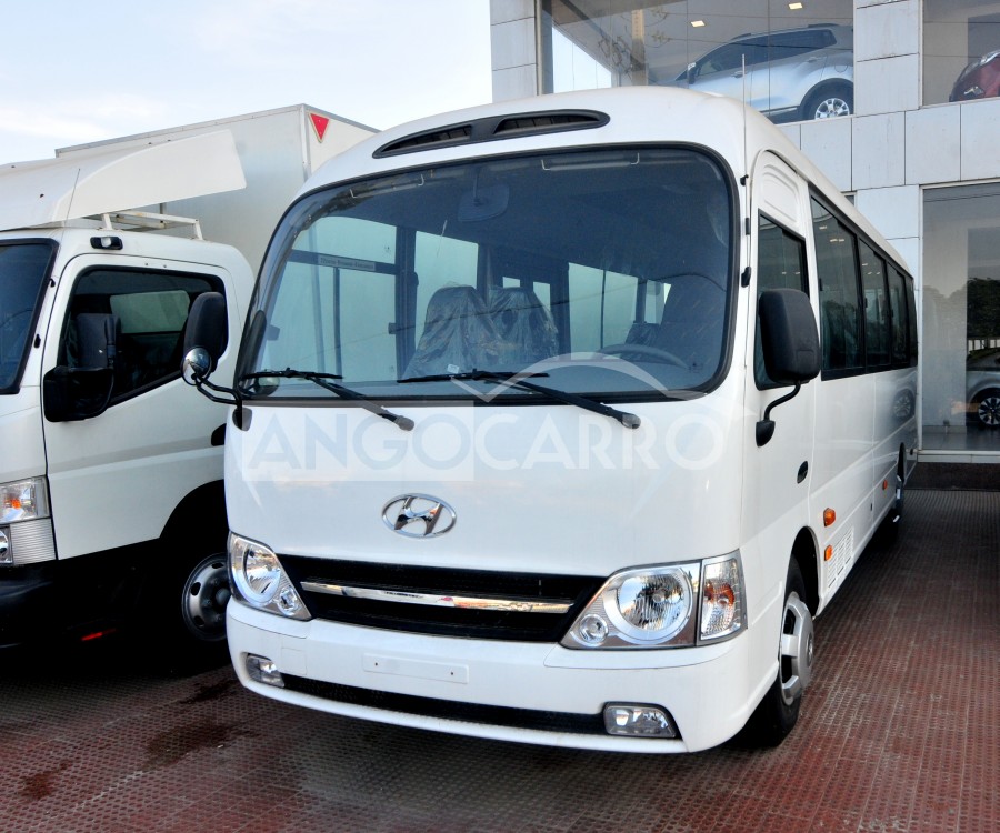 Hyundai hd county